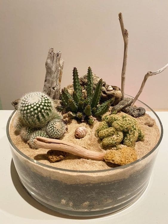 ต้นมะสัง